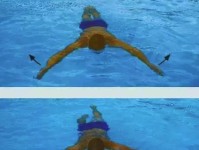 仰面游泳技巧（掌握正确的仰泳姿势和技巧，享受游泳的乐趣）