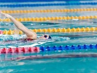游泳报名技巧大全（从初学者到专业游泳者，掌握这些技巧让你游得更好！）