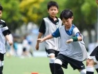踢足球（以踢足球为基础，锻炼专注力、协调性和团队合作能力）