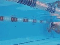 提高游泳换气技巧的台板训练方法（以台板训练提升游泳换气能力的关键技巧）