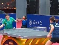 女子乒乓球世界排名榜（揭秘女子乒乓球世界排名榜，谁将问鼎乒乓球王座？）
