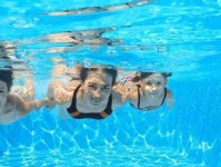 游泳技巧指南（逐步学习游泳的技巧，让您迅速掌握水中的自由）