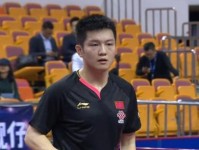 薛飞乒乓球世界排名飙升，成为新一代中国乒坛希望（薛飞）