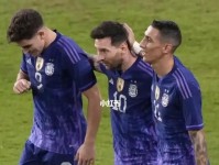 阿根廷和中国在世界杯的历史对比（足球狂热与发展之路）