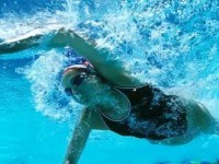 游泳初学者的十大技巧（游泳技巧大全，从零起步迈向游泳高手）