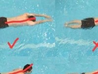 提高游泳技巧的关键要点（掌握正确呼吸与姿势，轻松游遍池塘）