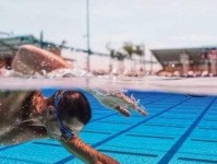 游泳速度提升的技巧（掌握这些技巧，让你成为游泳高手！）